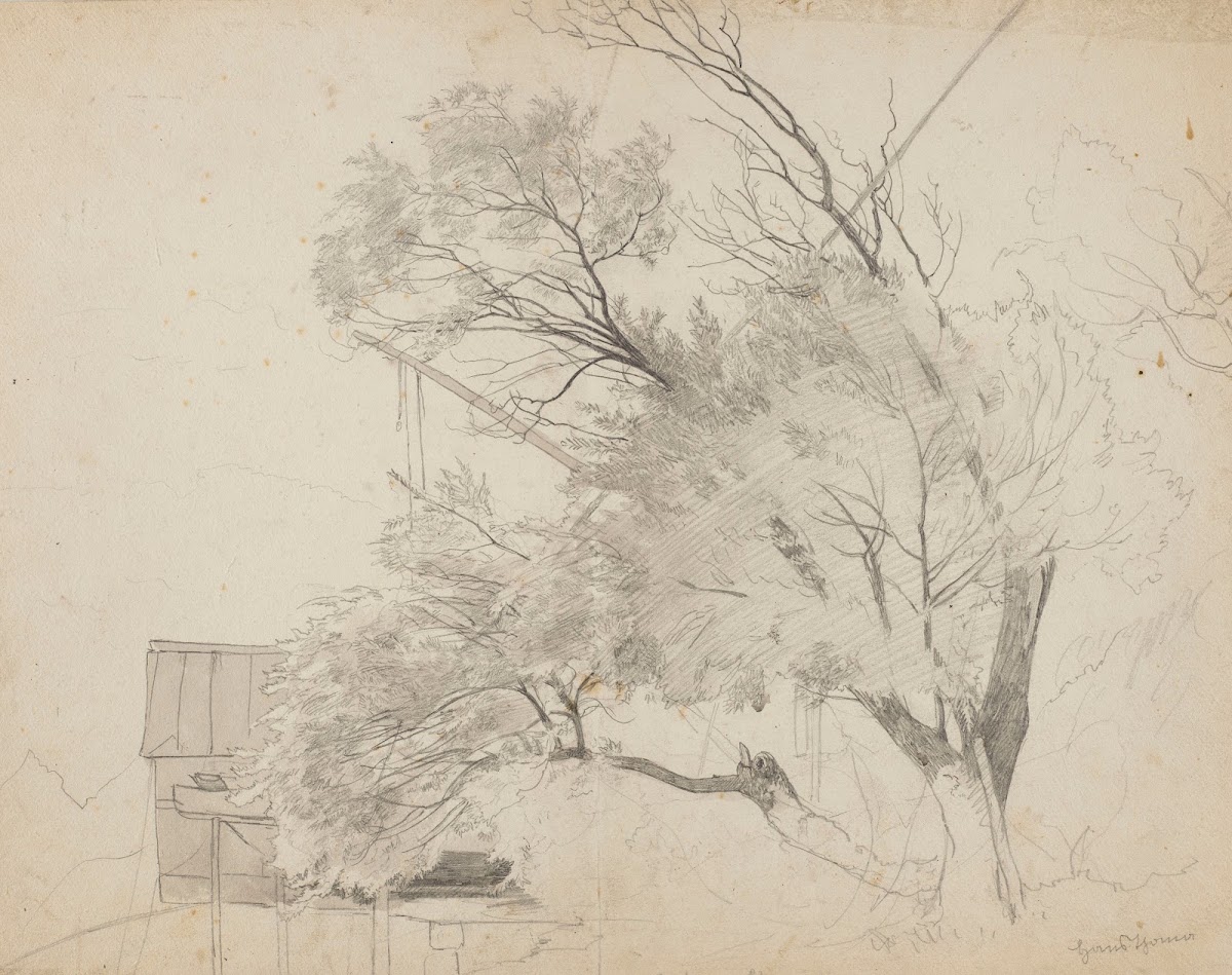 Trees and a Shelter against the Mountains near Bad Säckingen 1869
