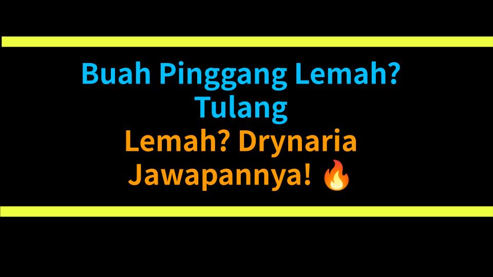 Buah Pinggang Lemah? Tulang Lemah? Drynaria Jawapannya! 🔥