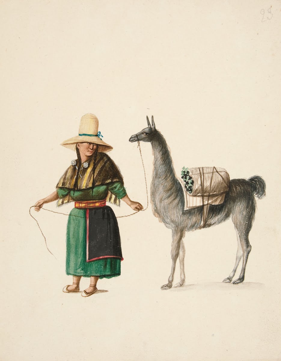Indian Woman and Llama ca1850