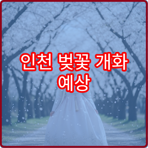 인천 벚꽃 개화 예상 송도 벚꽃 언제 피나