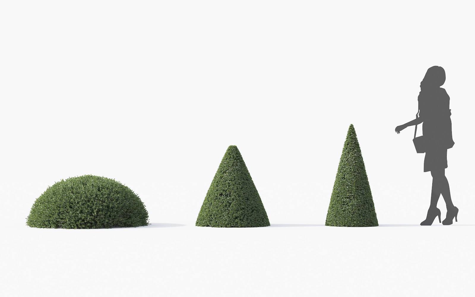 Maxtree - Plant Models Vol.28