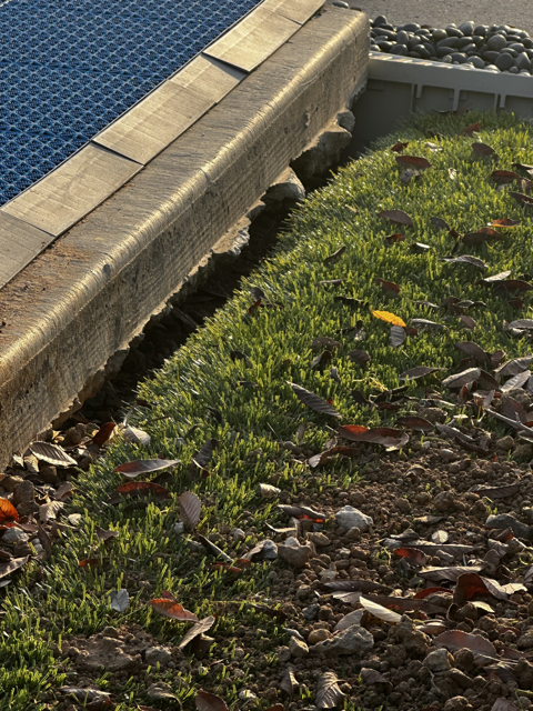 Property condition — landscape defects