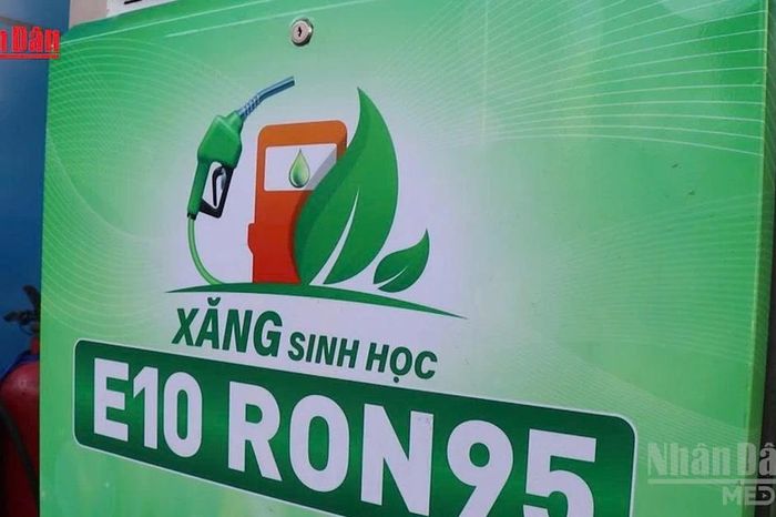 [Video] Giá xăng sinh học E10 cao nhất không quá 25.120 đồng/lít - Báo Nhân Dân