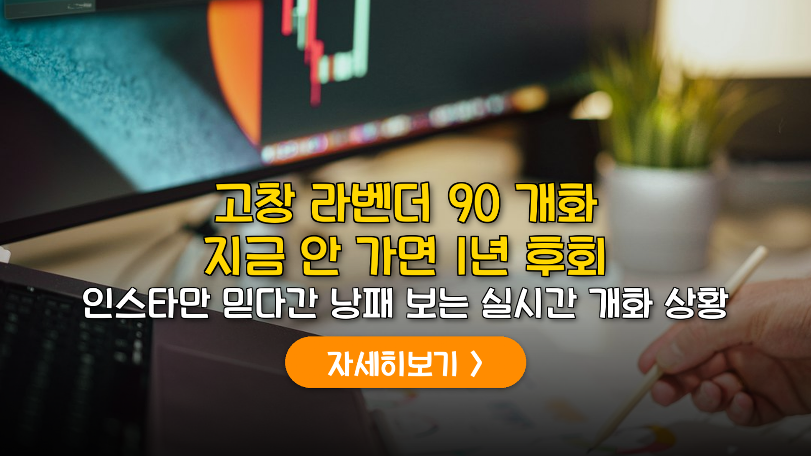 2026 고창 청농원 라벤더 축제 개화 현황 및 주차 분석