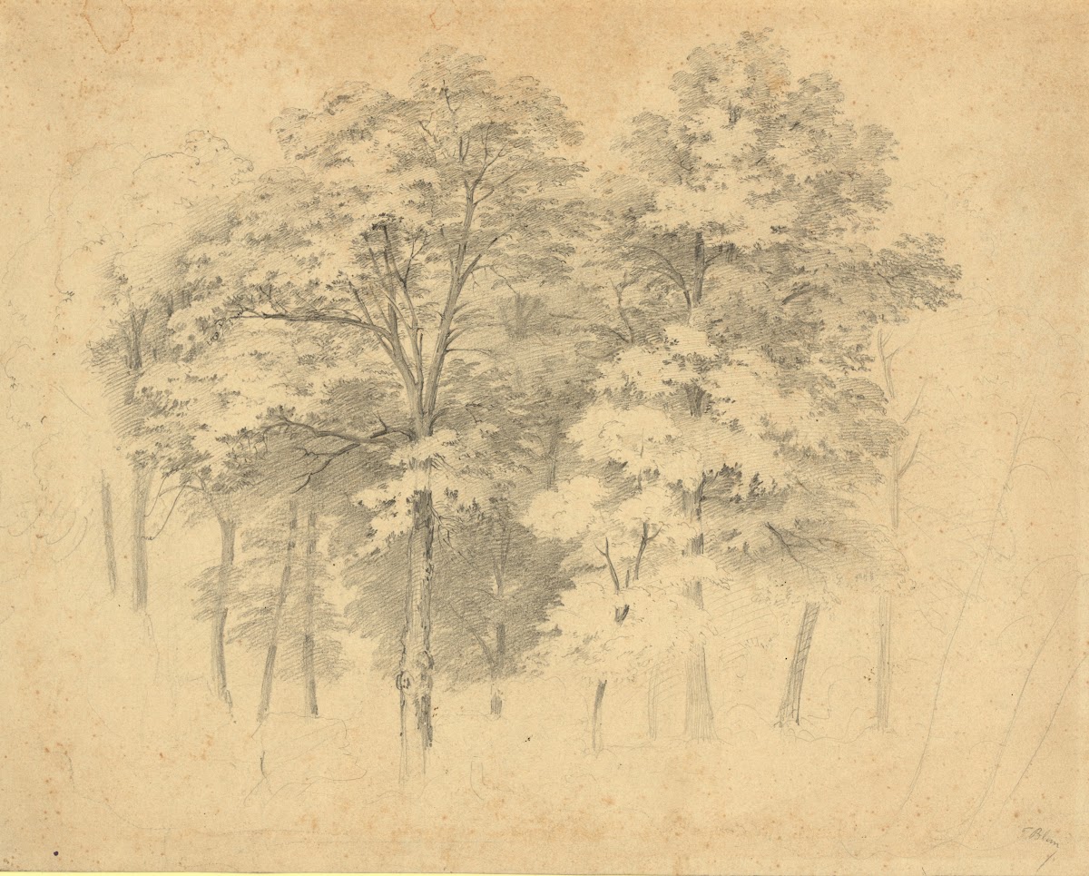 Laubwaldbäume 1870