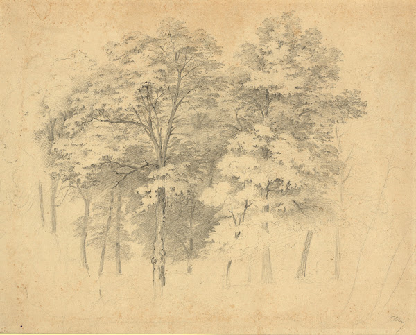 Laubwaldbäume 1870