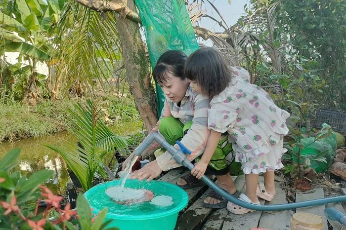 Hàng trăm hộ dân ở Cà Mau đón nước sạch sau bài báo trên Tiền Phong - Báo Tiền Phong