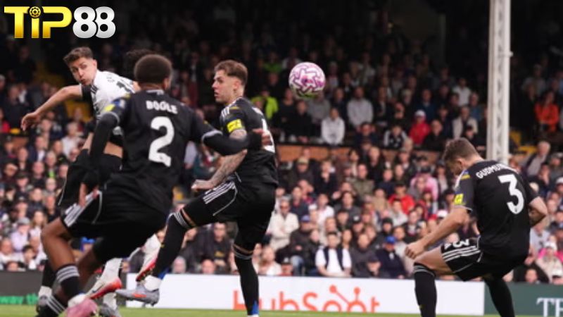 Lịch sử đối đầu giữa Leeds vs Fulham