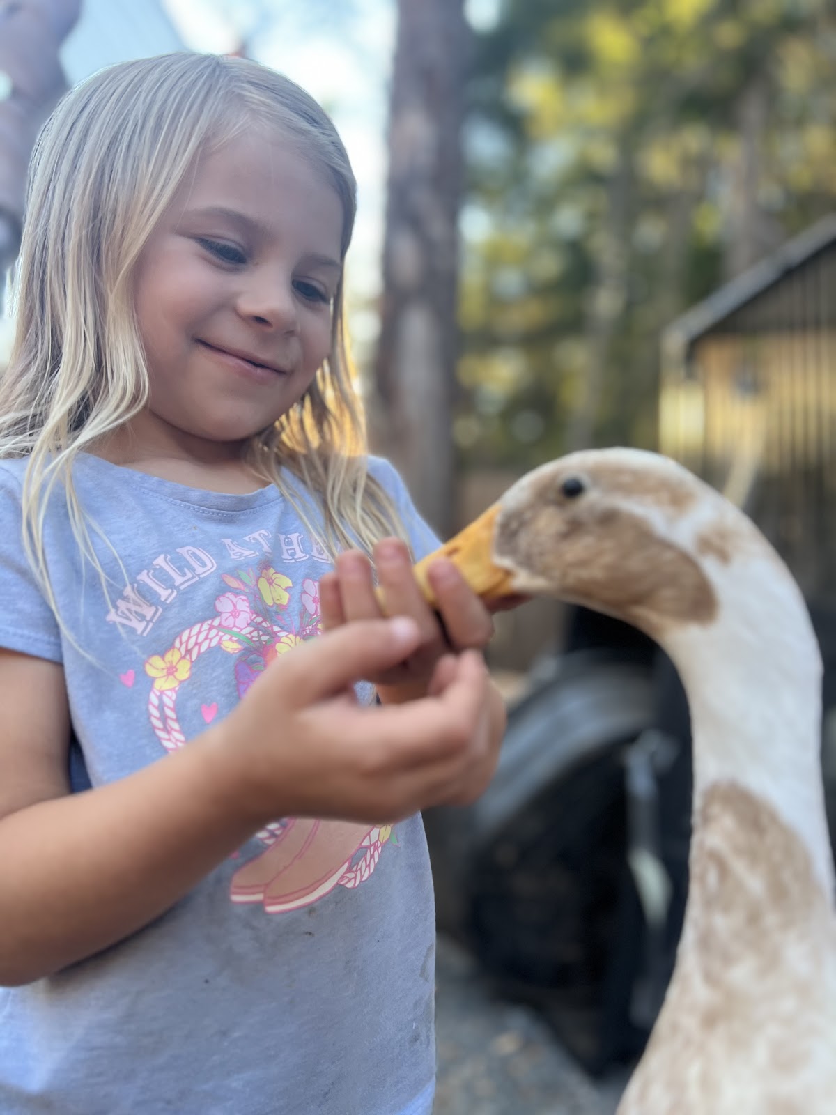 Fawn & White Runner Duck