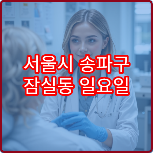 서울시 송파구 잠실동 일요일 안과 진료 병원 눈 통증