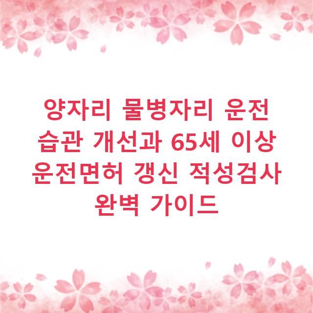 양자리 물병자리 운전 습관 개선과 65세 이상 운전면허 갱신 적성검사 완벽 가이드