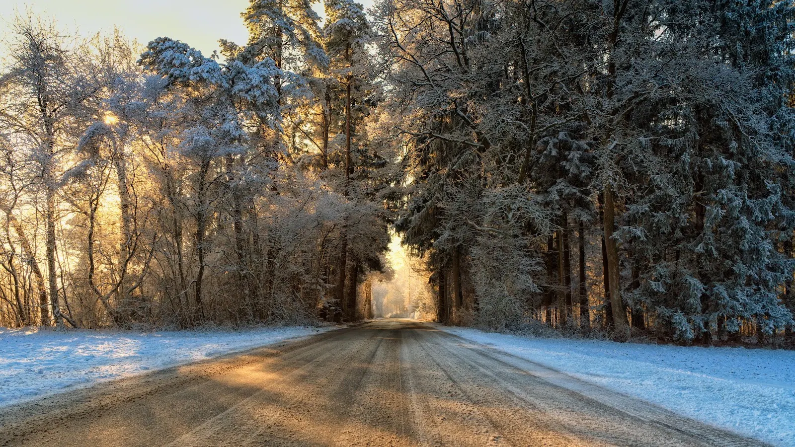 Sunlit Snowy Forest Road - Landscape Photography 5K Wallpaper (5902x3320)
