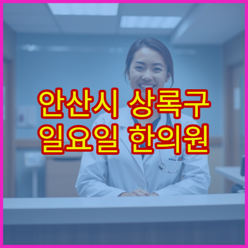 안산시 상록구 일요일 한의원 진료 병원 추나요법·침 치료 가능