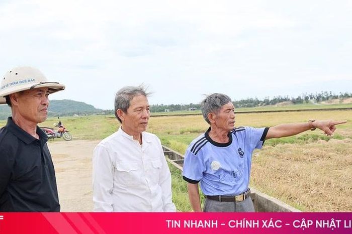 Vì sao gần 90% diện tích lúa hè thu ở Xuân Triều bị bỏ hoang? - Báo Hà Tĩnh
