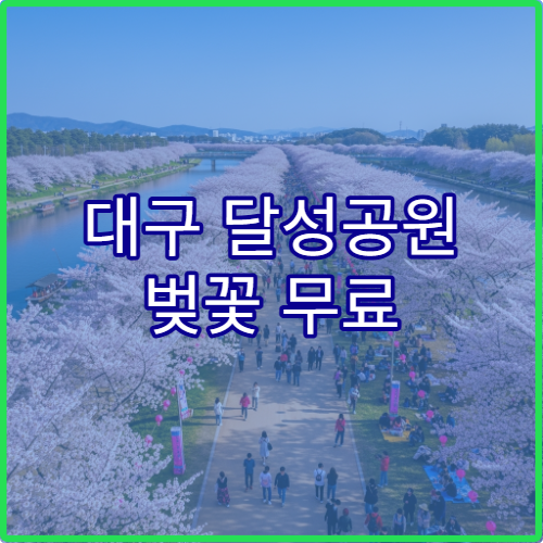 대구 달성공원 벚꽃 무료 공연 시간대와 최적 관람 좌석 배치 안내