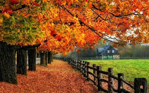 Autumn Wallpaper