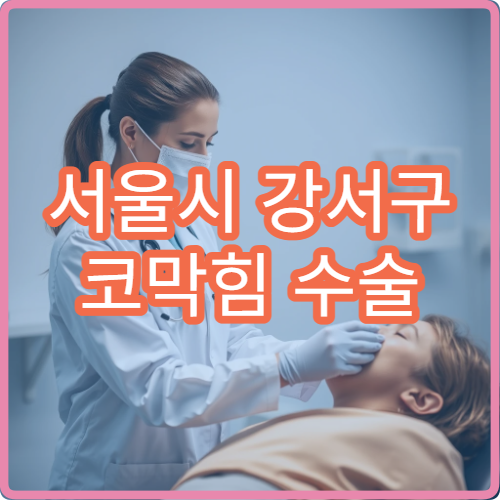 서울시 강서구 코막힘 수술 비중격곡정 치료 전문 이비인후과 병원
