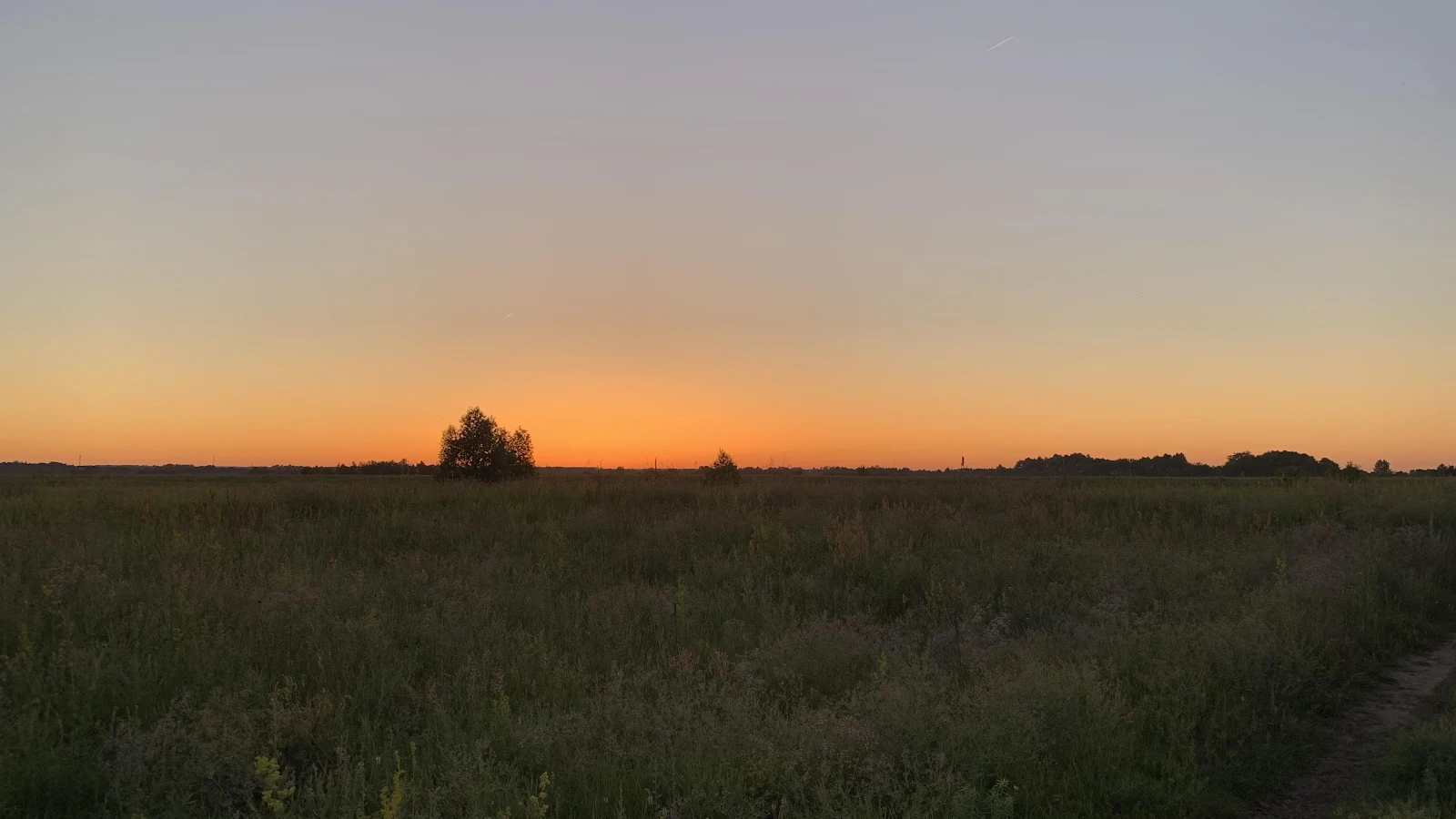 Sunset Over Summer Meadow - Landscape Photography 4K Wallpaper (4032x2268)
