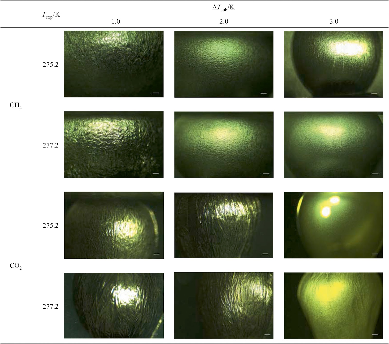 The dual action of N2 on morphology regulation and mass-transfer acceleration of CO2 hydrate film