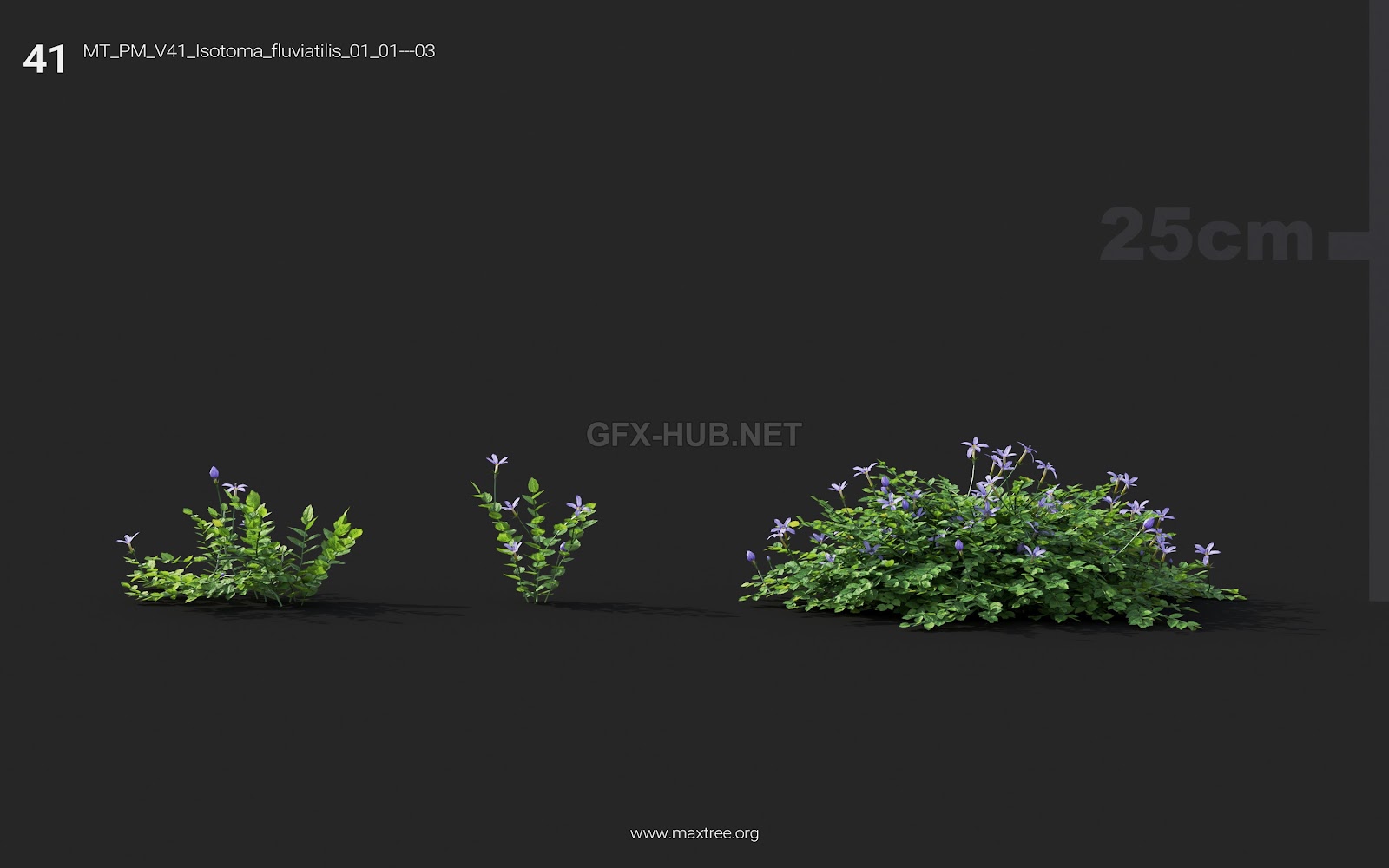 Maxtree - Plant Models Vol.41