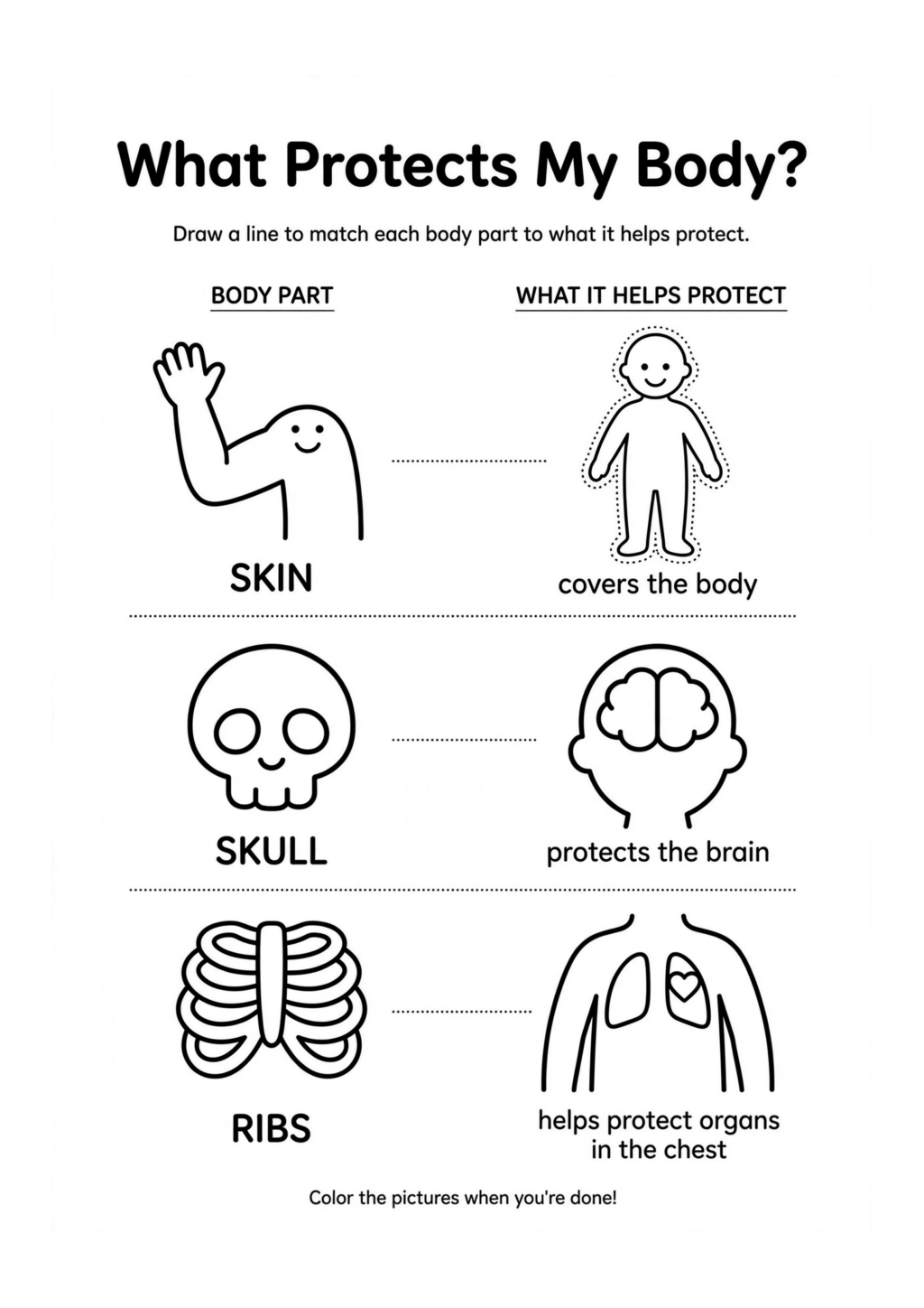 What Protects My Body?
