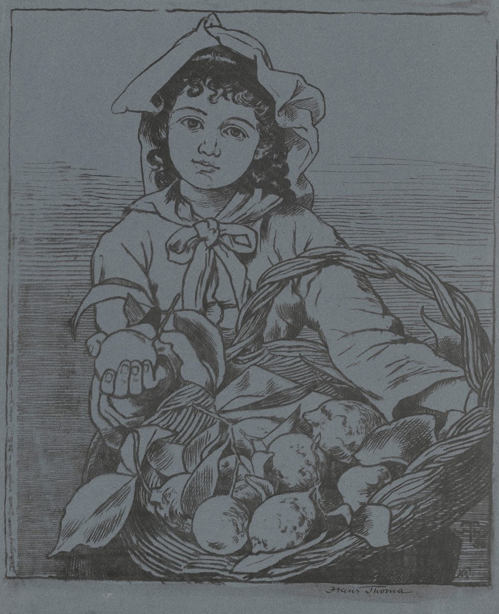 Pomarańczarka 1896
