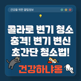 콜라 변기 청소, 변기 청소, 콜라 세척, 변기 찌든때, 생활 꿀팁