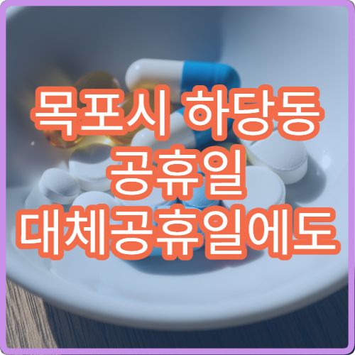목포시 하당동 공휴일 대체공휴일에도 영업하는 당직 약국 정보