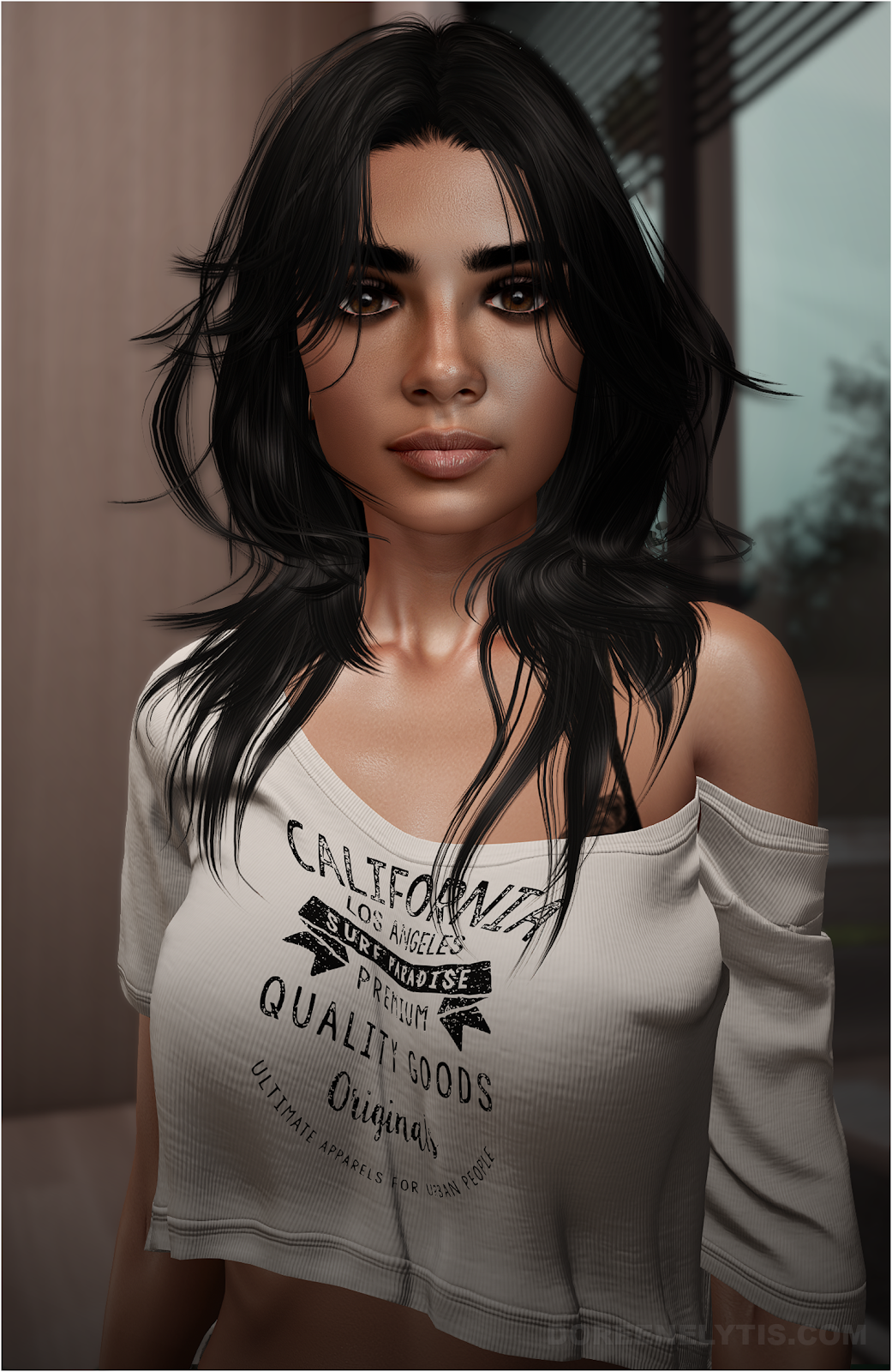 SL image