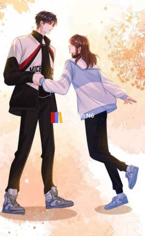 Ký Ức Từ Quán Net