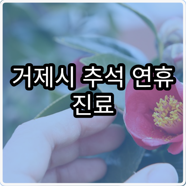 거제시 추석 연휴 진료 병원 어디서 찾아야 할까
