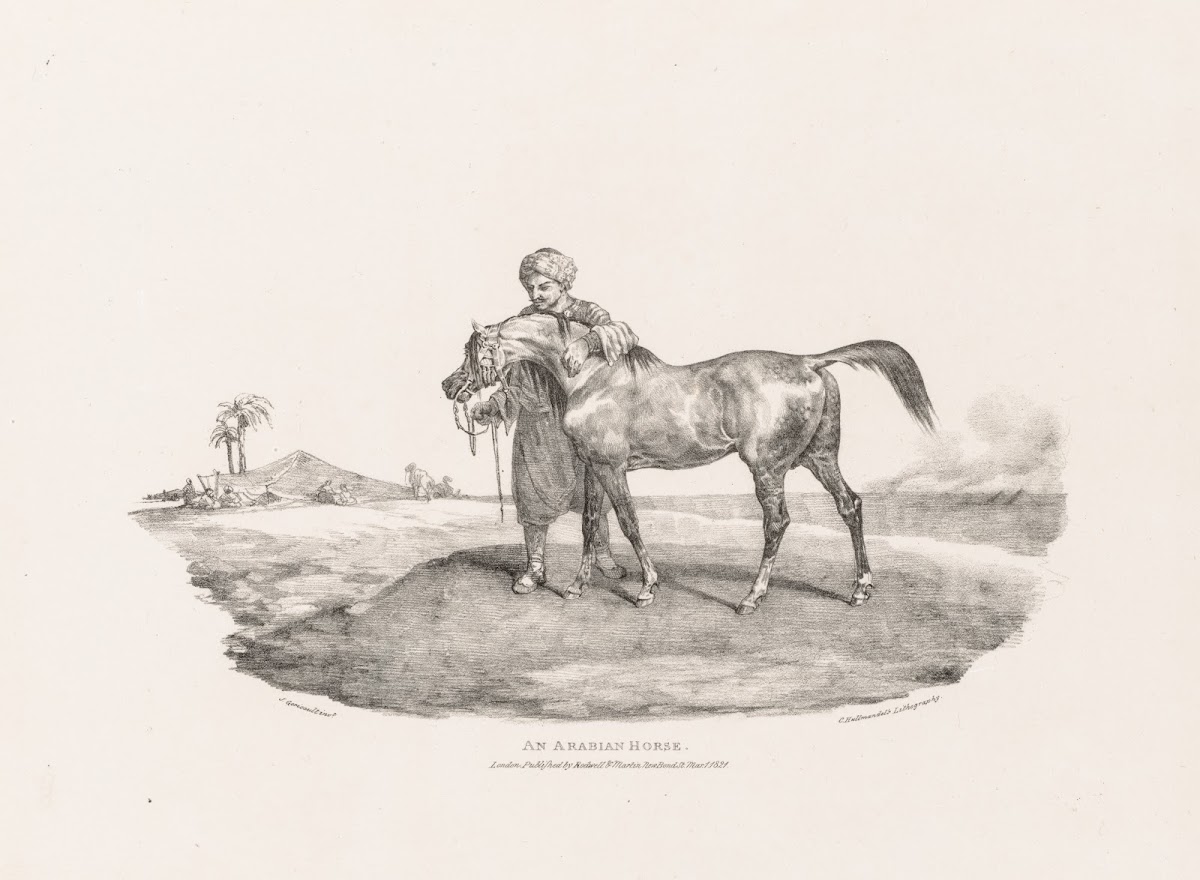 An Arabian Horse 1821