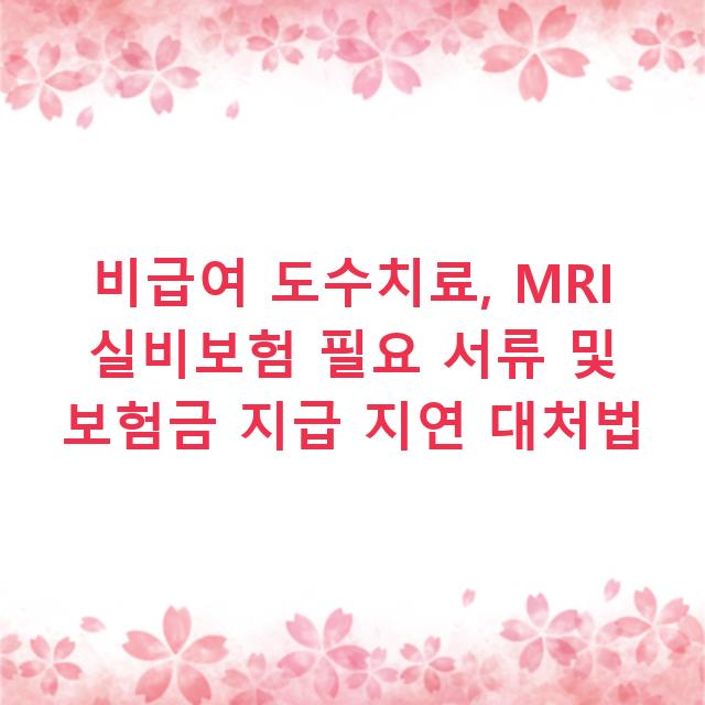 비급여 도수치료, MRI 실비보험 필요 서류 및 보험금 지급 지연 대처법