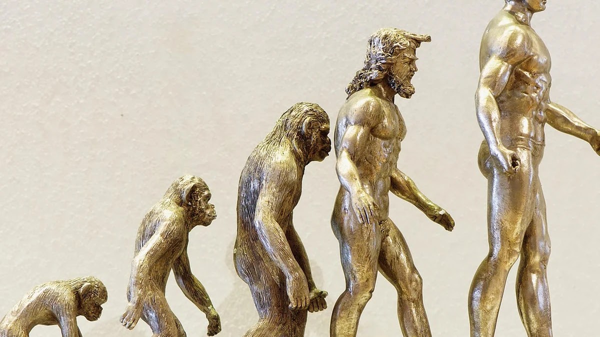 경제라는 단어 어원의 역사와 시대별 의미 확장