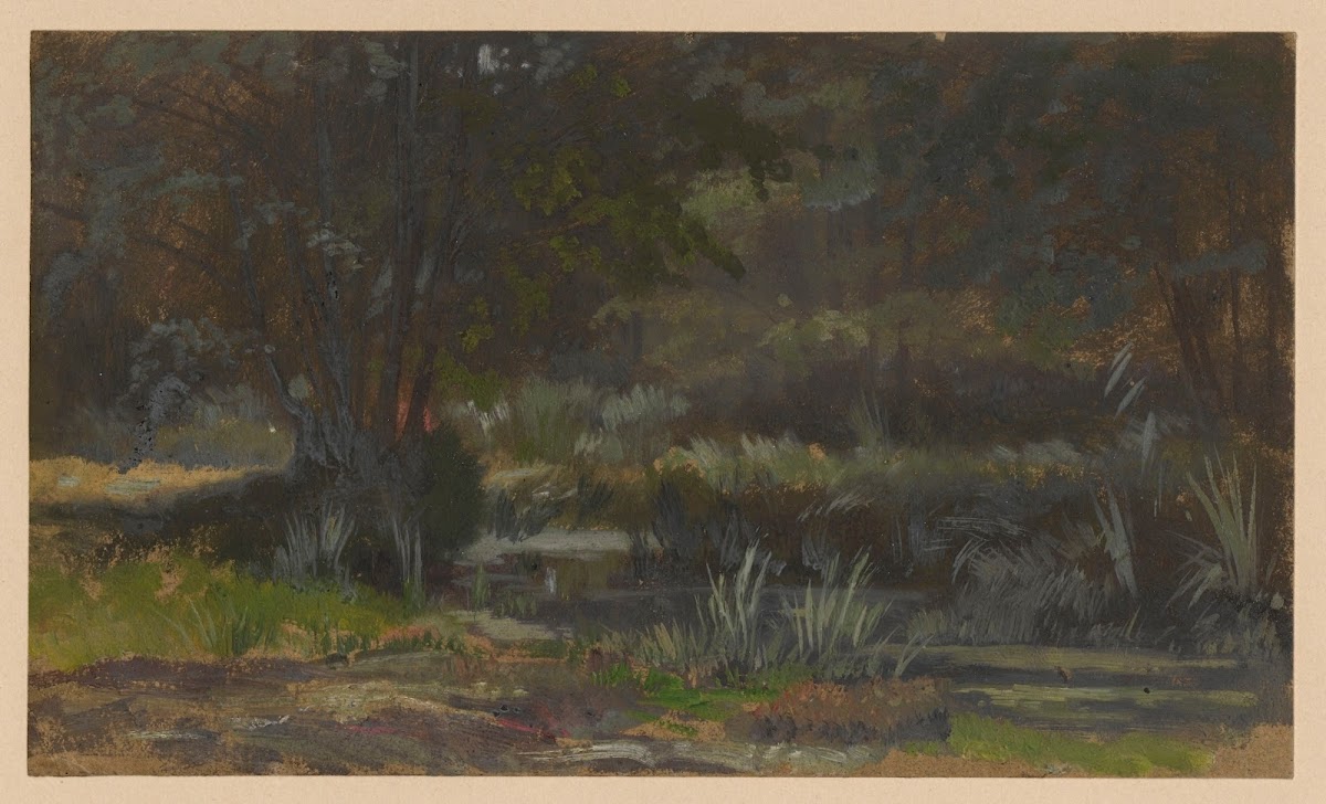 Scrub by the River Barycz 1850 1881