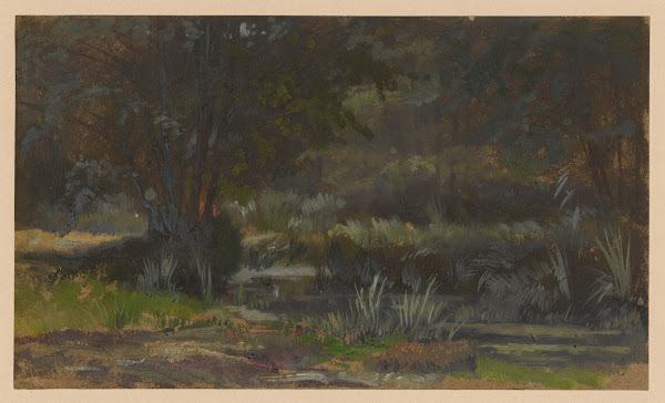 Scrub by the River Barycz 1850 1881