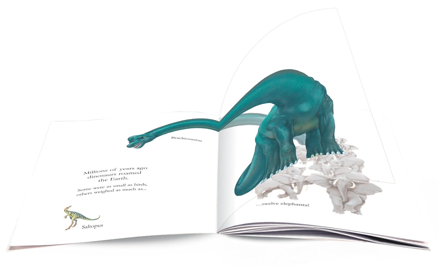 Dinosaurs PB - thumbnail 2
