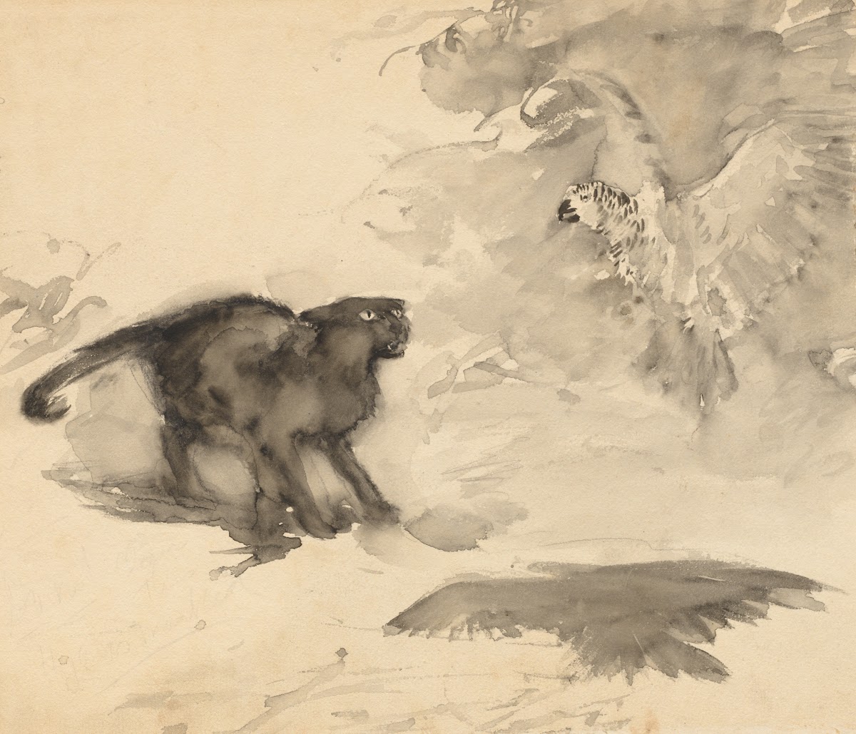 The Parrot and the Cat Sketch for Good Night by Eleanor Gates c 1905