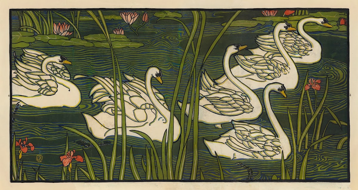Cygnes 1897