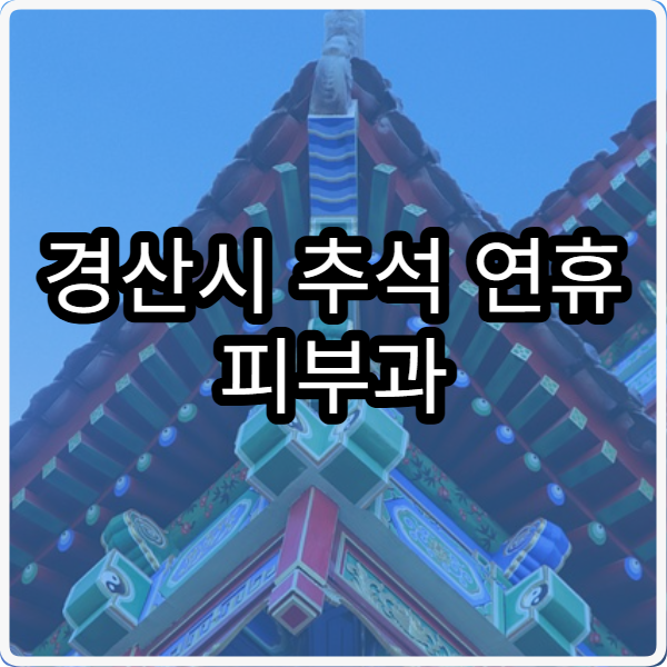 경산시 추석 연휴 피부과 진료 병원 운영 병원 총정리