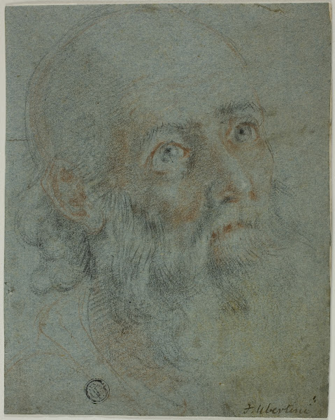 Head of a Bearded Man Looking Up to Right Study for Saint Catherine of Alexandri