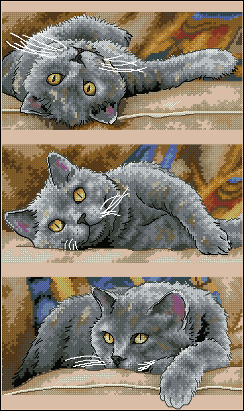 DIM35301 Max The Cat