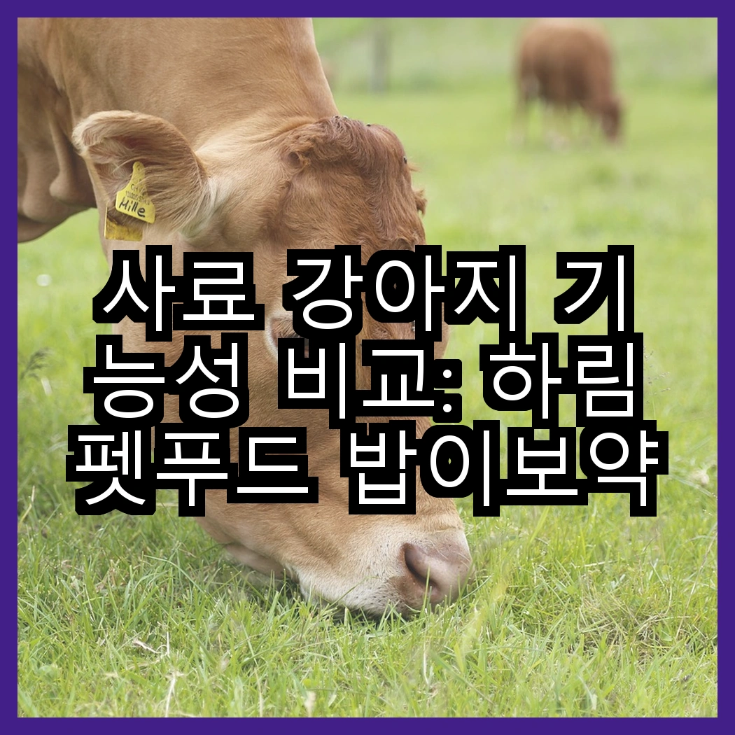 사료 강아지 기능성 비교: 하림펫푸드 밥이보약 vs 건강백서, 어떤 제품이 더 효과적일까? 썸네일