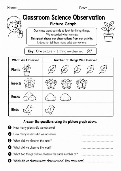 Observation Picture Graph