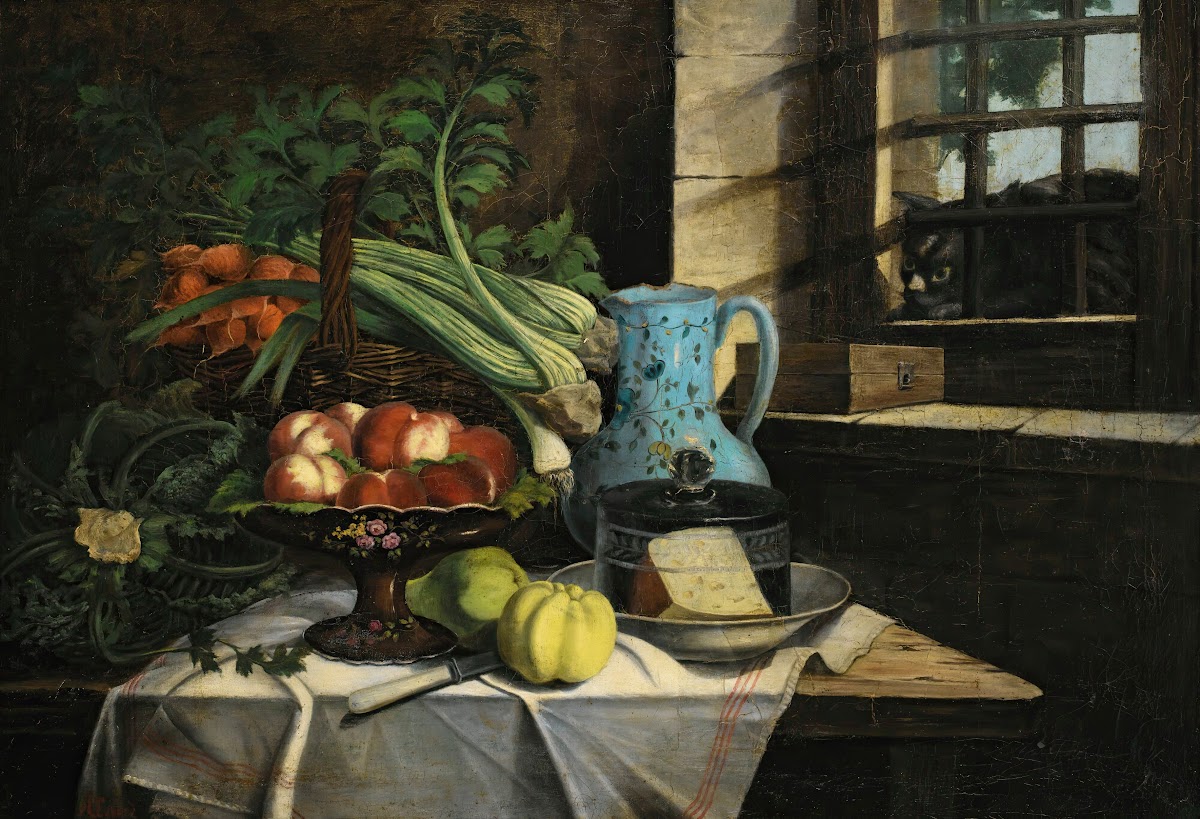 Still life with cat