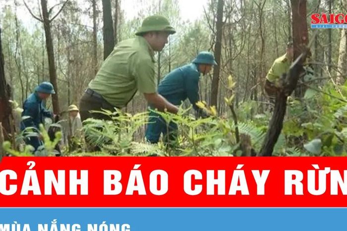 Cảnh báo cháy rừng mùa nắng nóng - Báo Sài Gòn Giải Phóng
