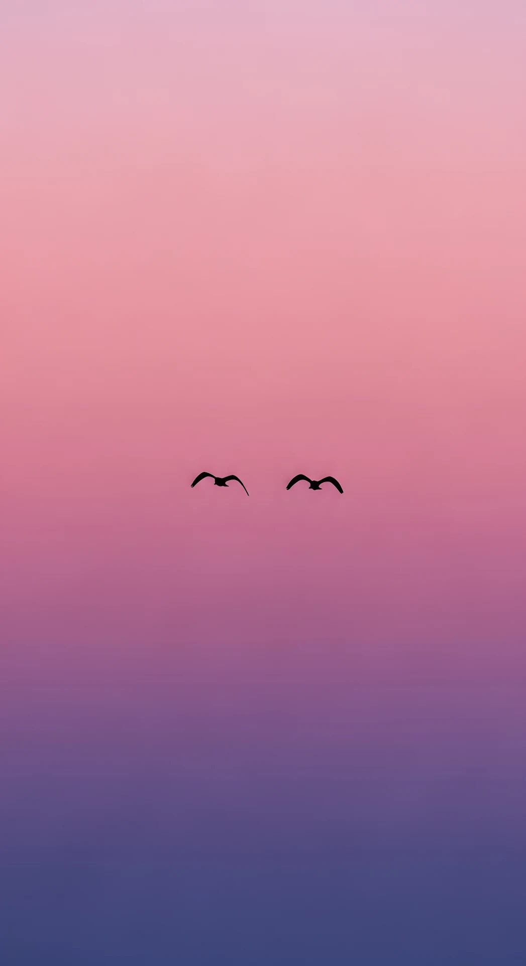 Minimalist Birds Flying in Pink Purple Sunset Gradient - Free 4K mobile Wallpaper