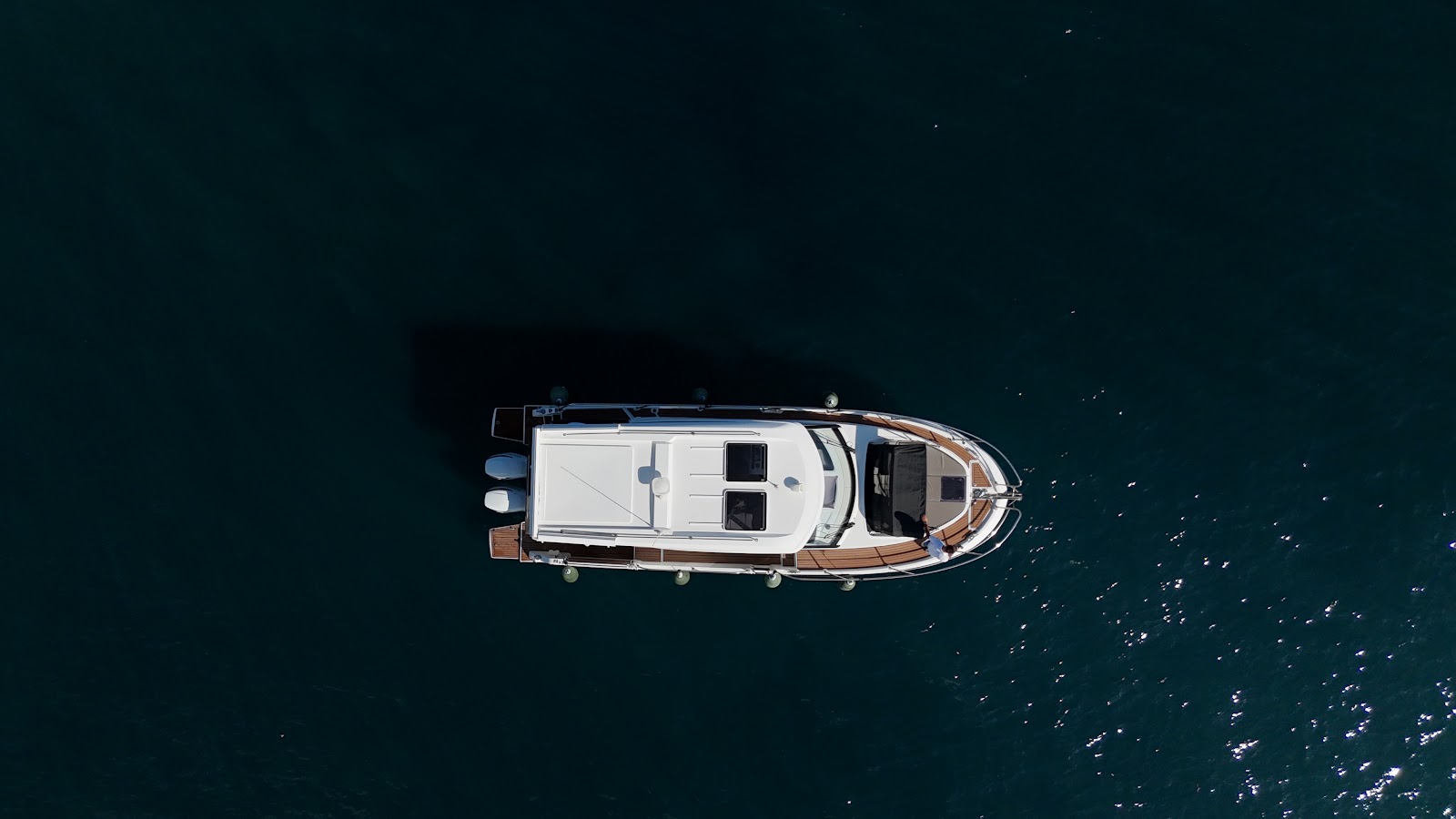 Vega Charter 8
