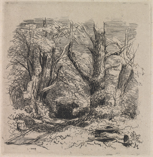 A Path through the Wood
