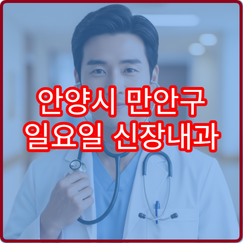안양시 만안구 일요일 신장내과 진료 병원 신부전·투석 상담 가능